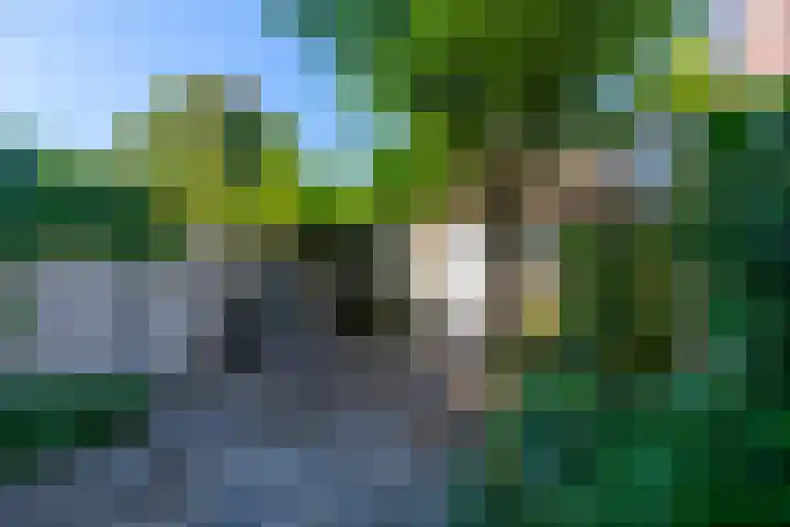 Gansstraat 59 Utrecht thumbnail 4