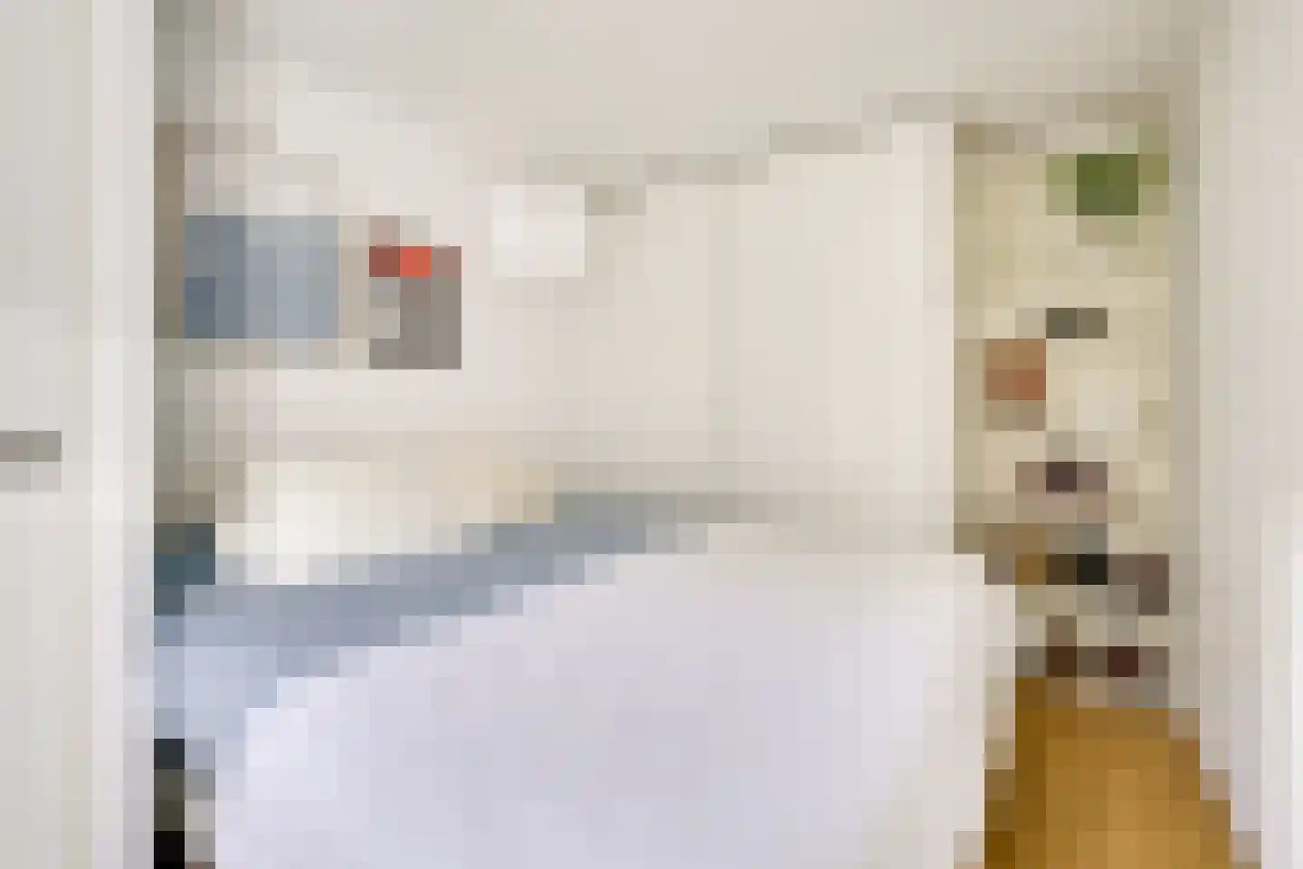 Gansstraat 9 A Utrecht thumbnail 17