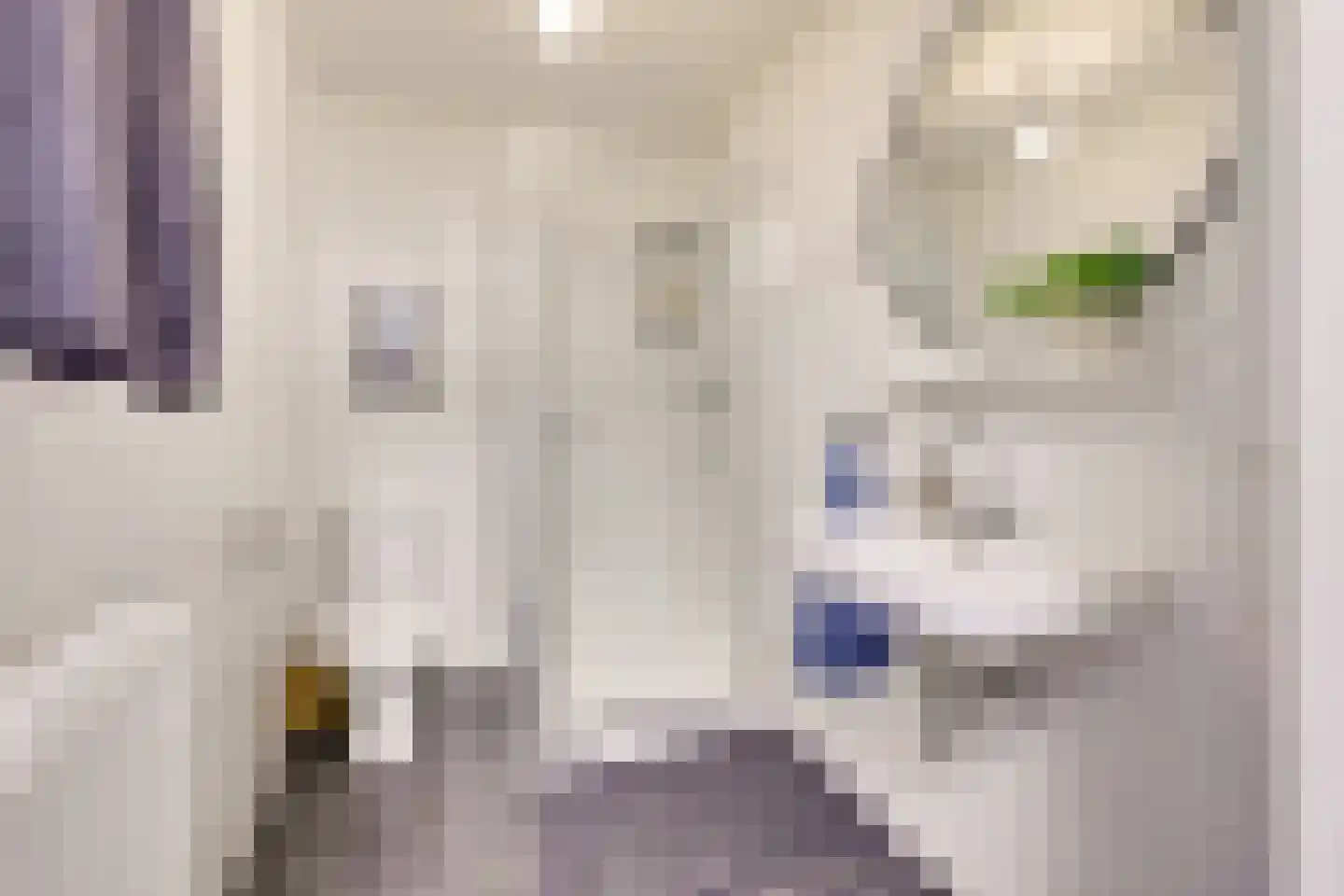 Gansstraat 9 A Utrecht thumbnail 21