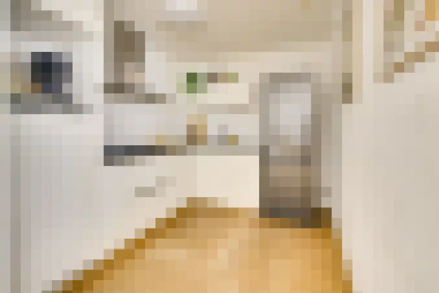 Gansstraat 9 A Utrecht thumbnail 9