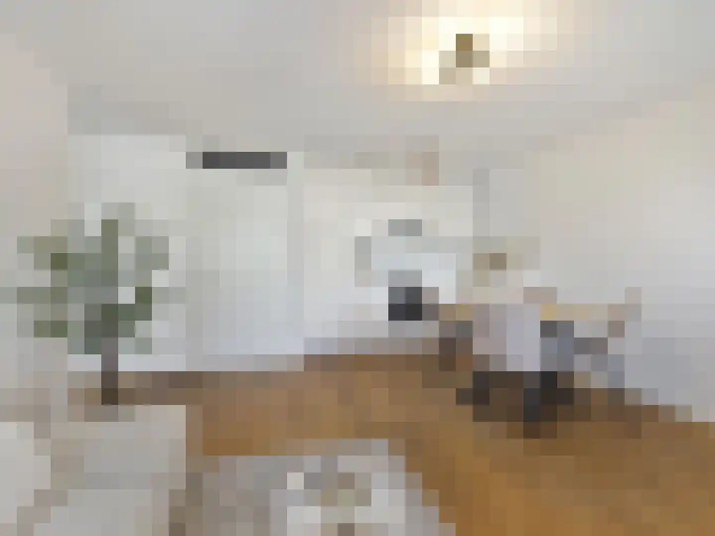 Gansstraat 9 H Utrecht thumbnail 15