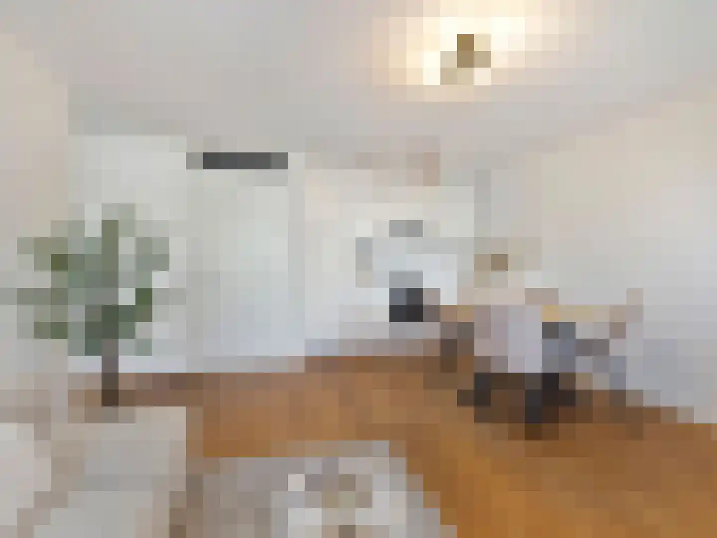 Gansstraat 9 H Utrecht thumbnail 15