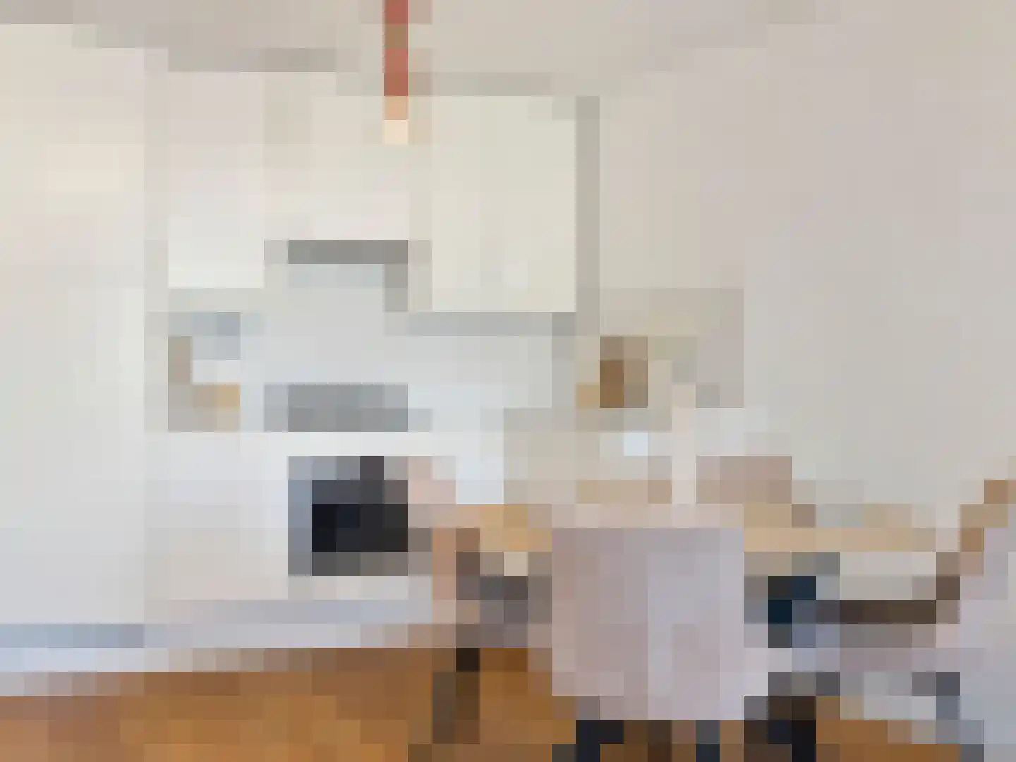 Gansstraat 9 H Utrecht thumbnail 19