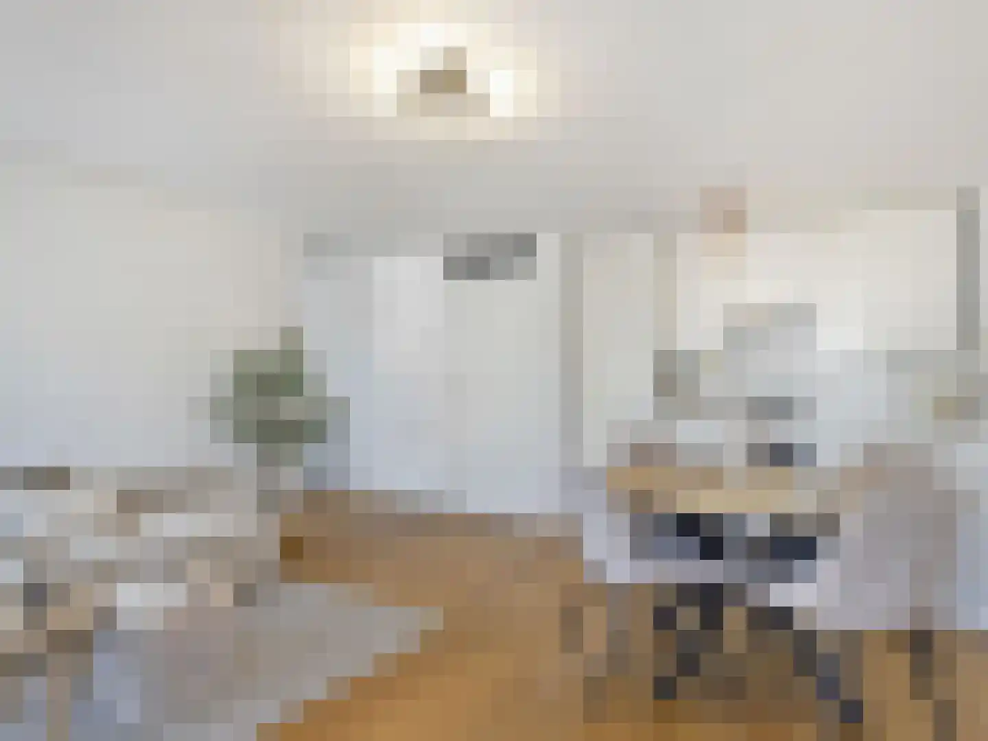 Gansstraat 9 H Utrecht thumbnail 20