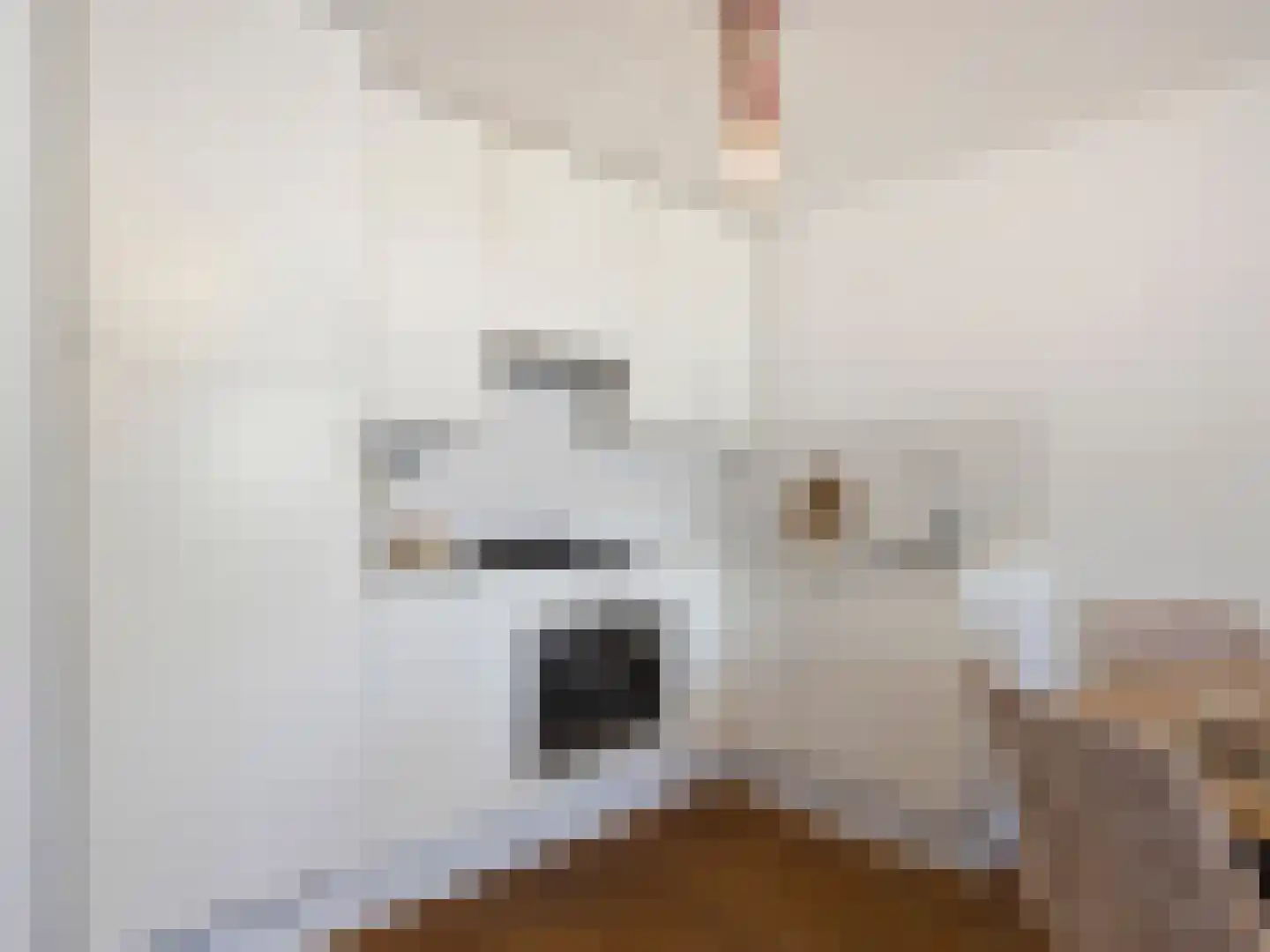 Gansstraat 9 H Utrecht thumbnail 21