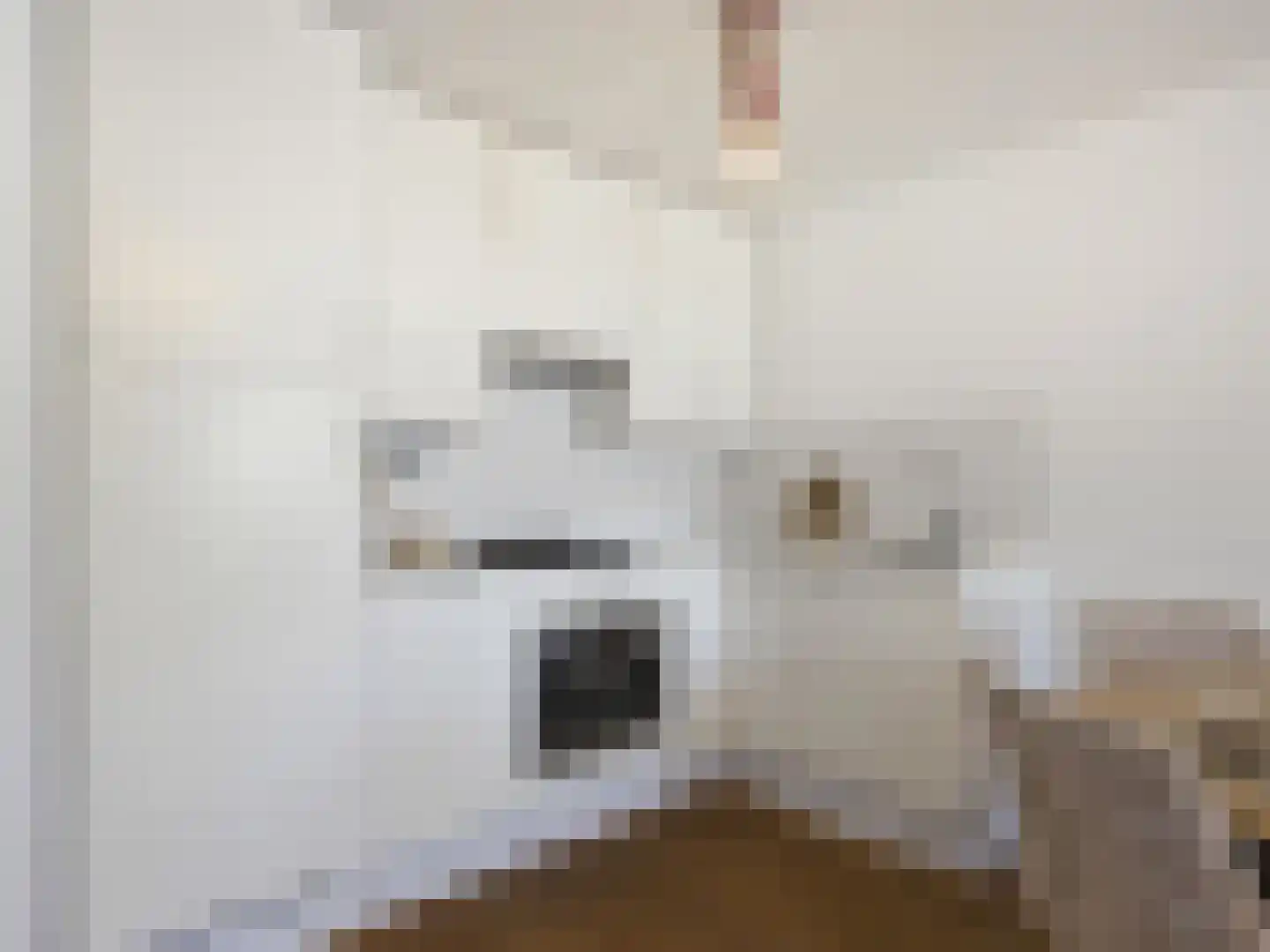 Gansstraat 9 H Utrecht thumbnail 21
