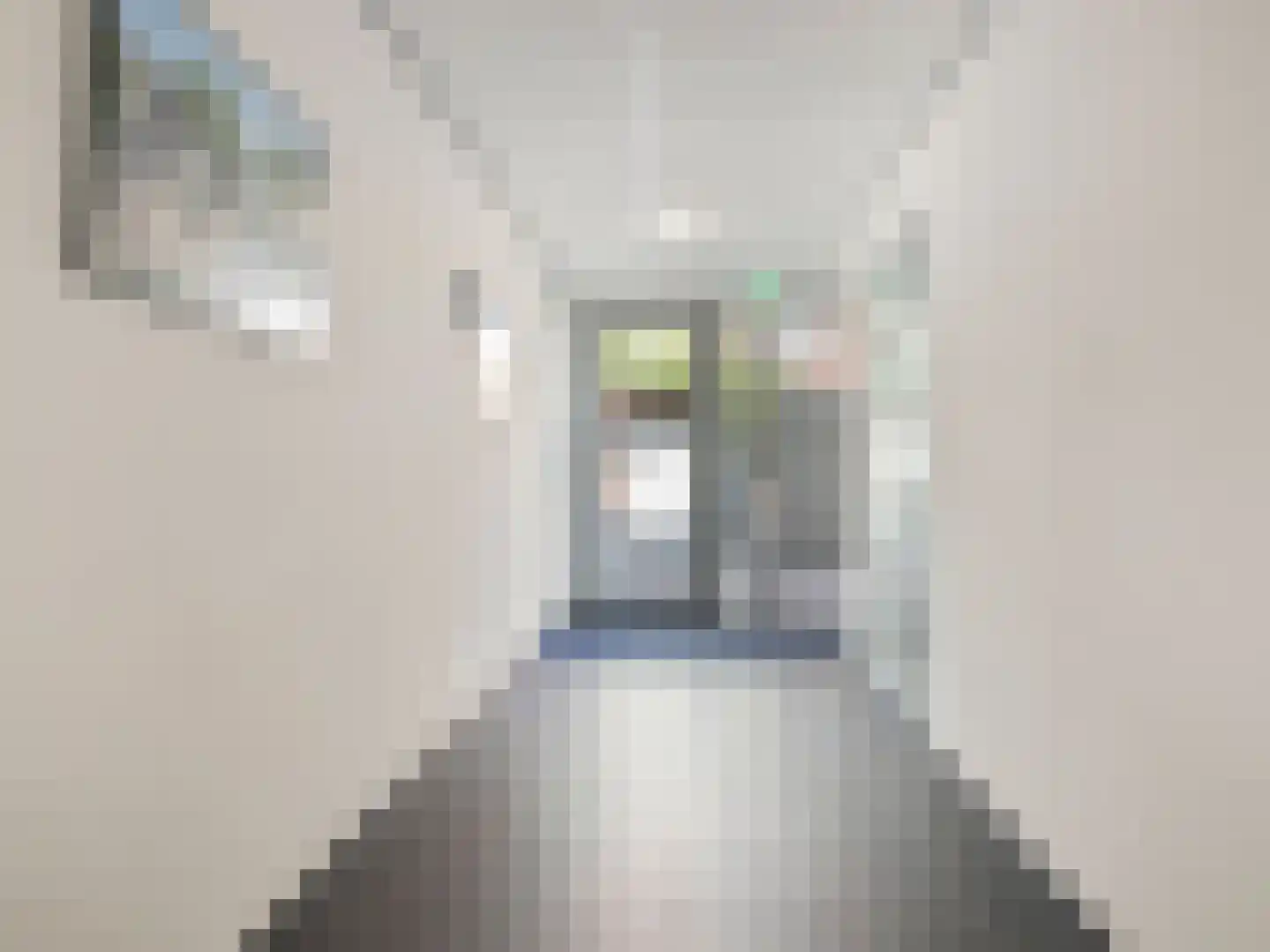 Gansstraat 9 H Utrecht thumbnail 7