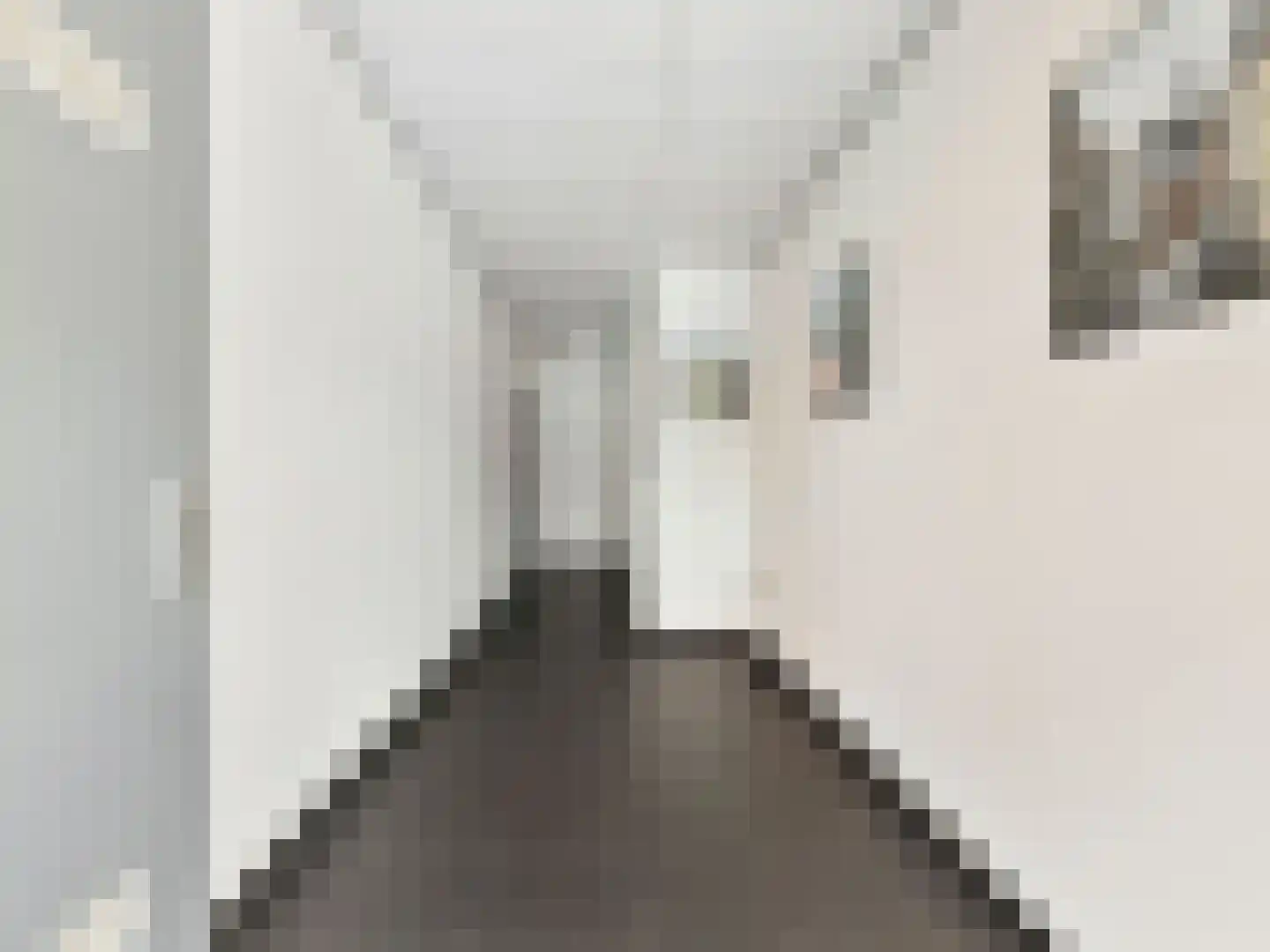Gansstraat 9 H Utrecht thumbnail 8