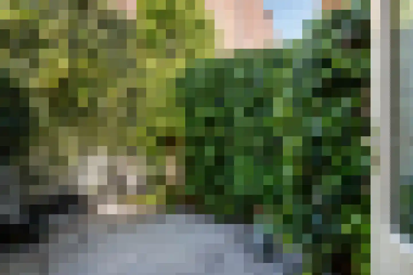 Gansstraat 93 Utrecht thumbnail 11