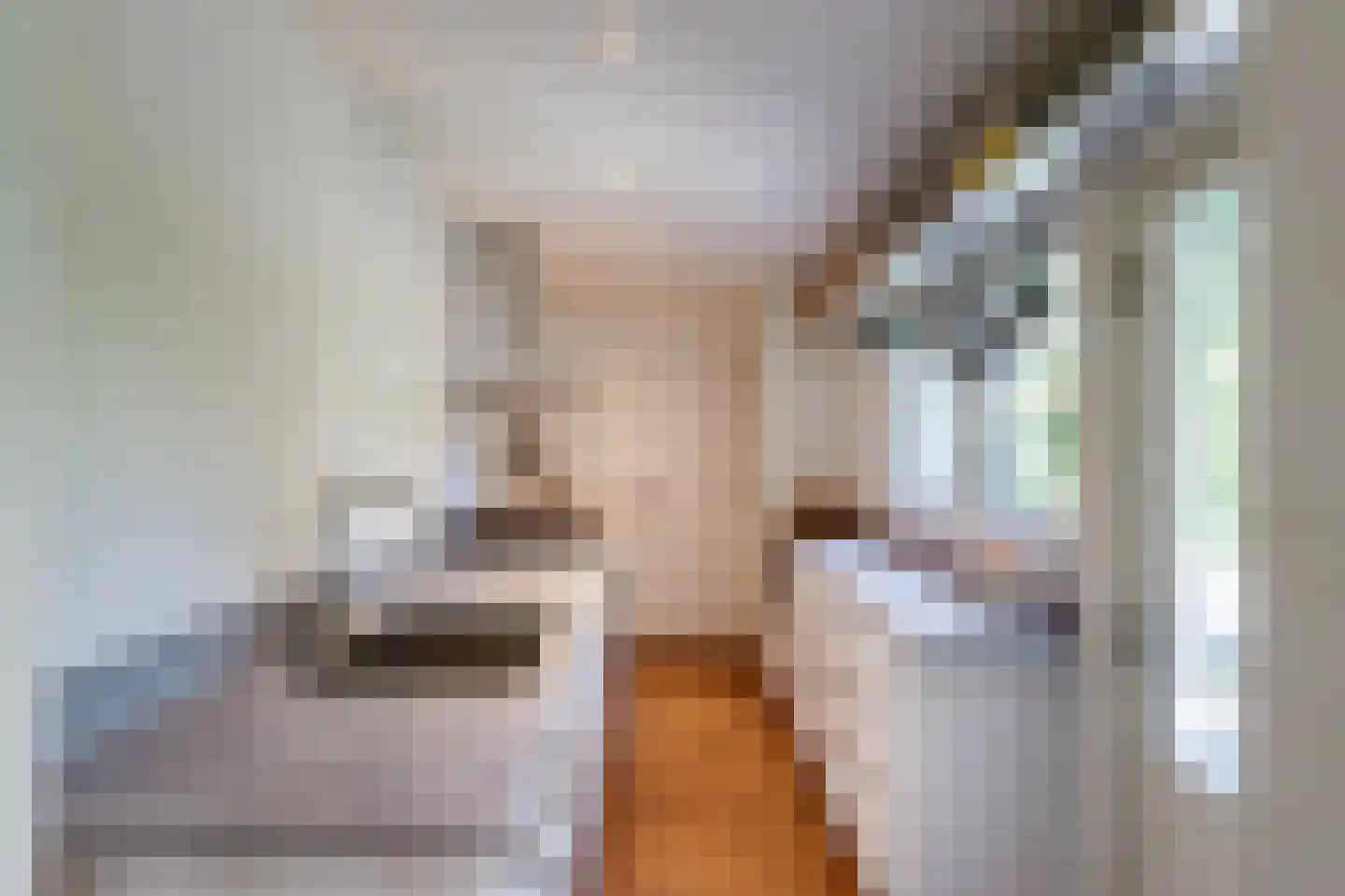 Gansstraat 93 Utrecht thumbnail 13