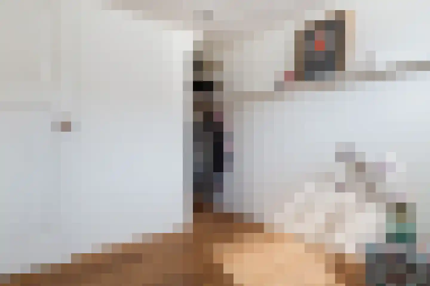 Gansstraat 93 Utrecht thumbnail 18