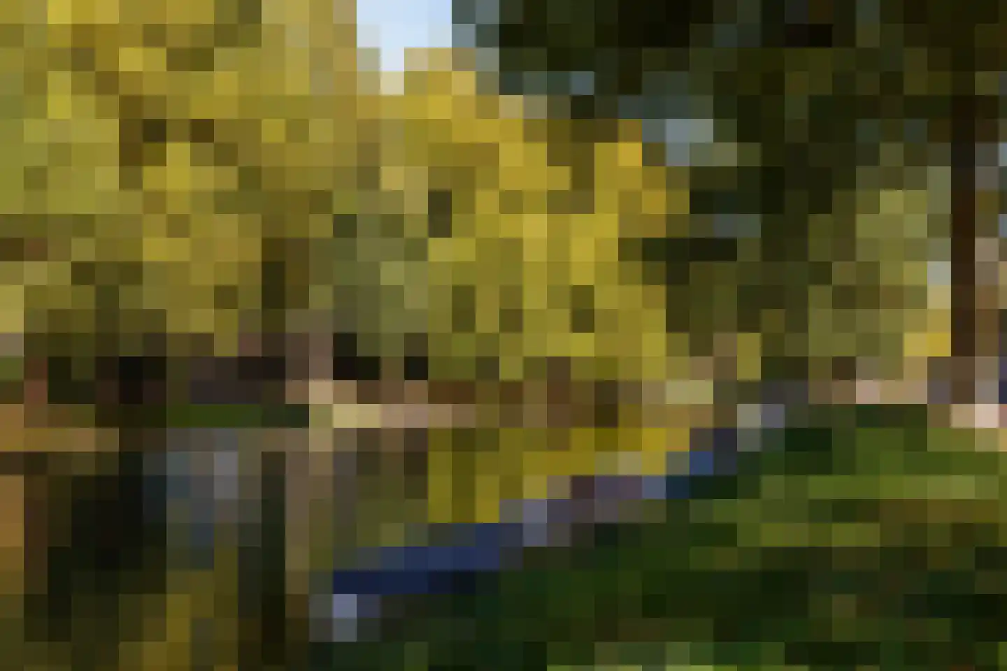 Gansstraat 93 Utrecht thumbnail 33