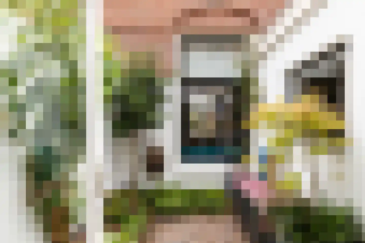 Gansstraat 97 Utrecht thumbnail 11