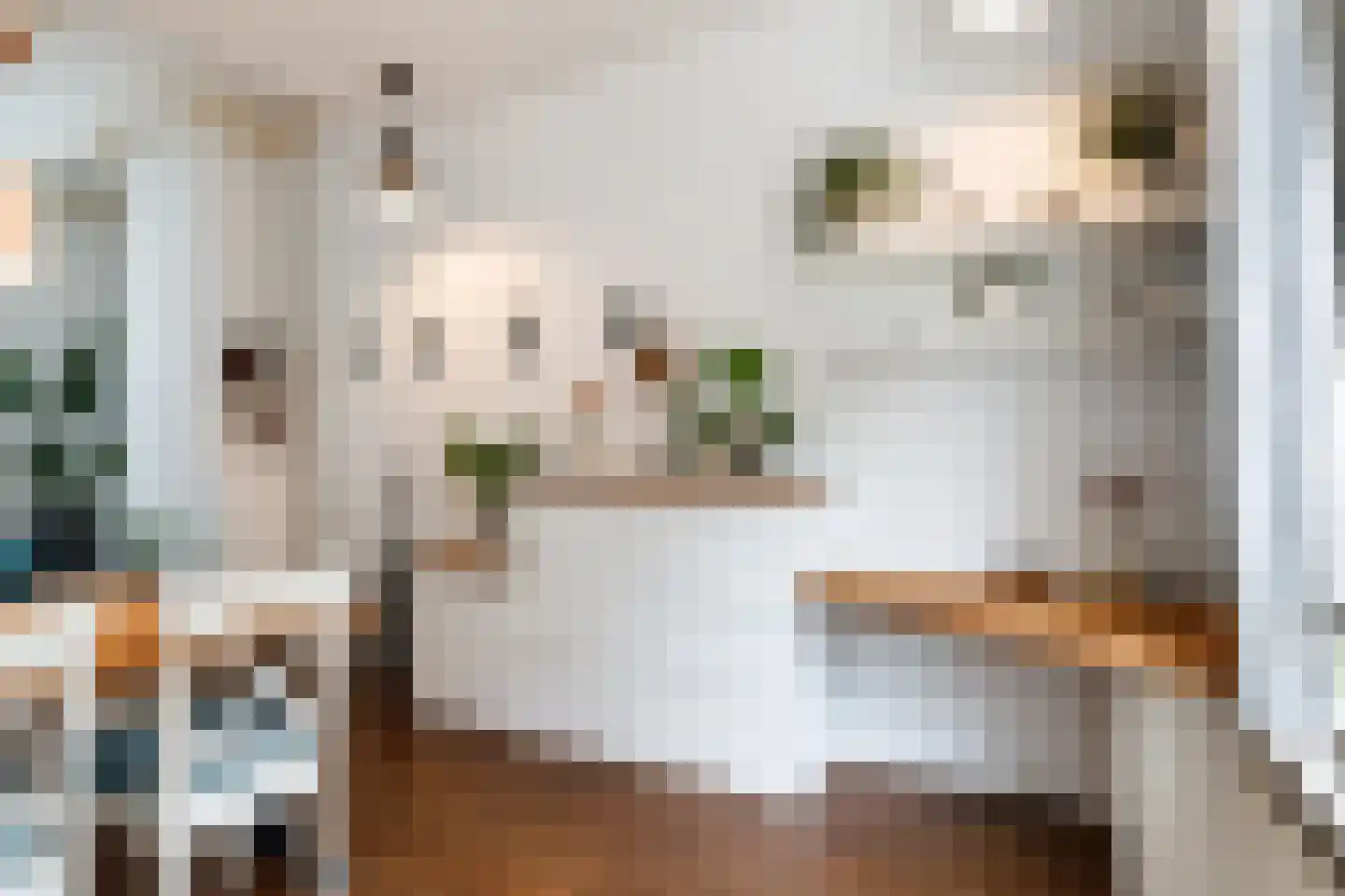Gansstraat 97 Utrecht thumbnail 4