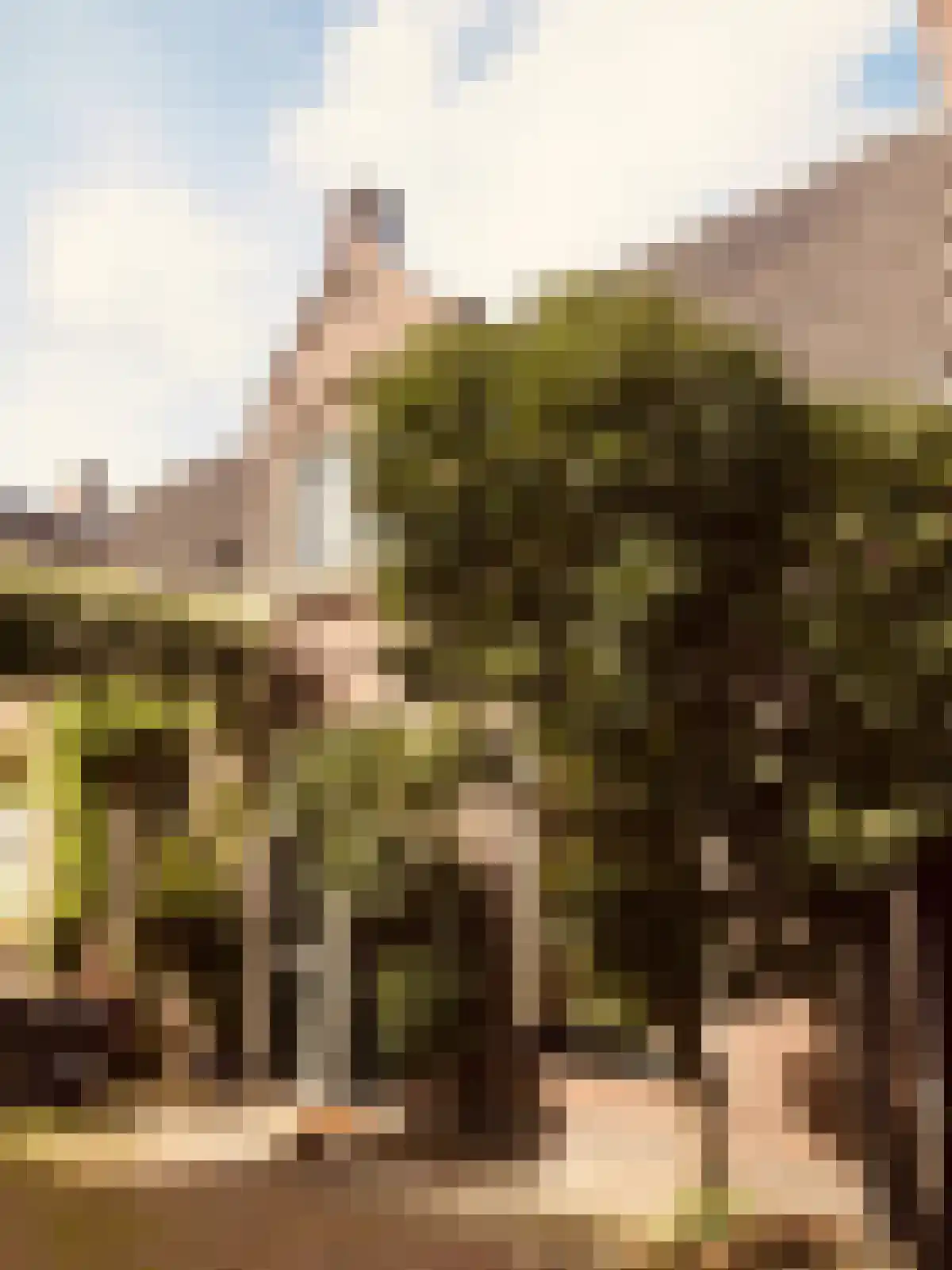 Gansstraat Utrecht