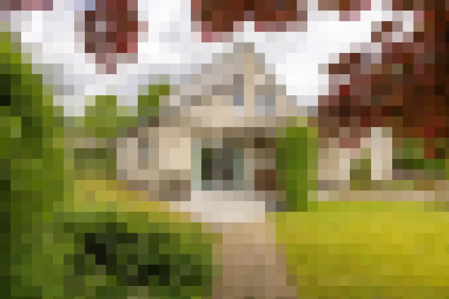 Gansvelden 27 Best thumbnail 36