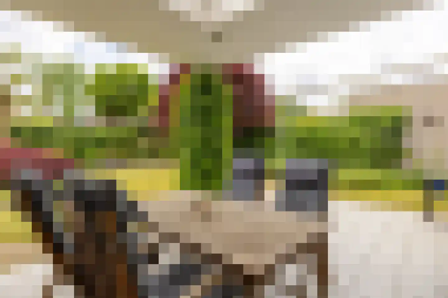 Gansvelden 27 Best thumbnail 4