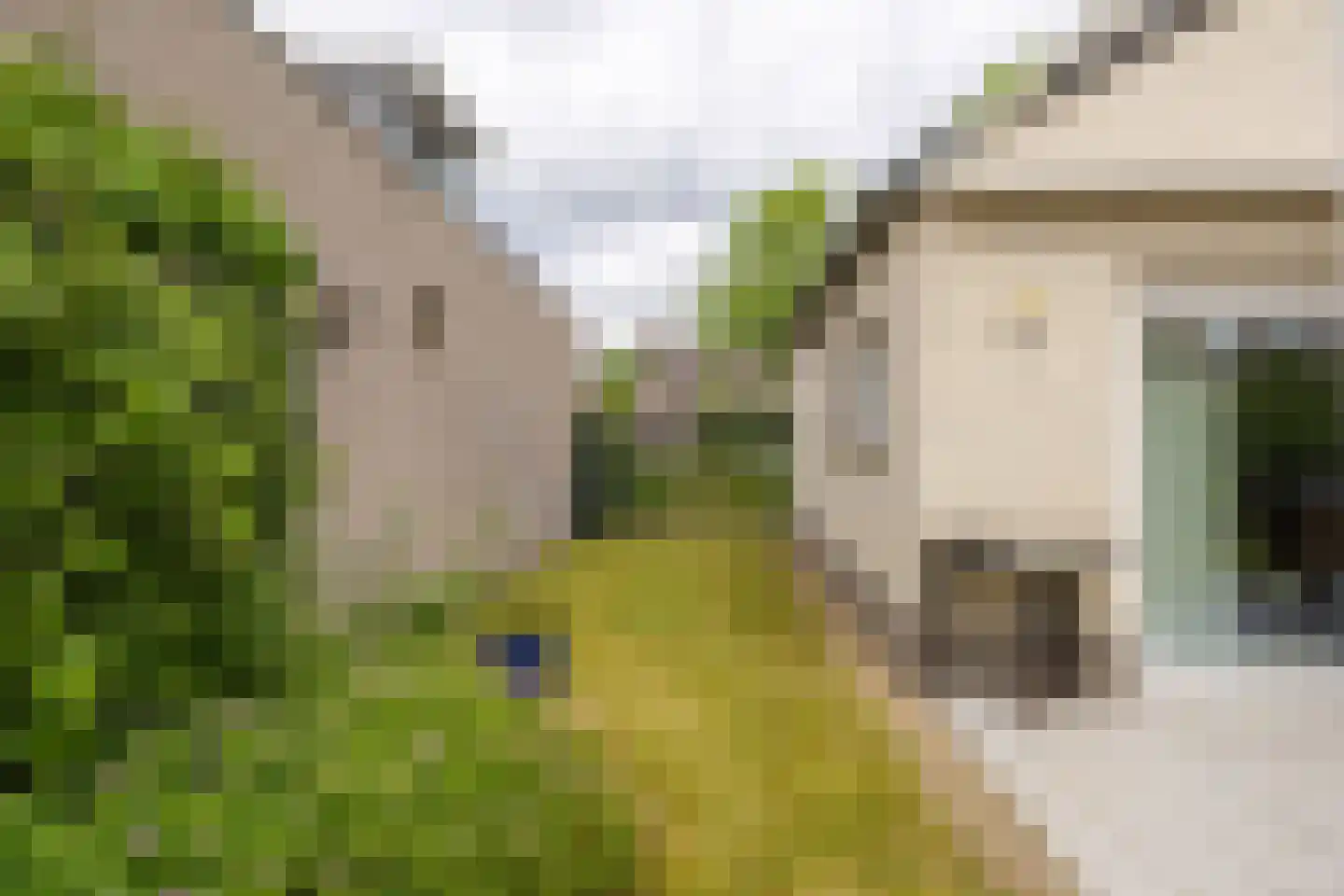 Gansvelden 27 Best thumbnail 44