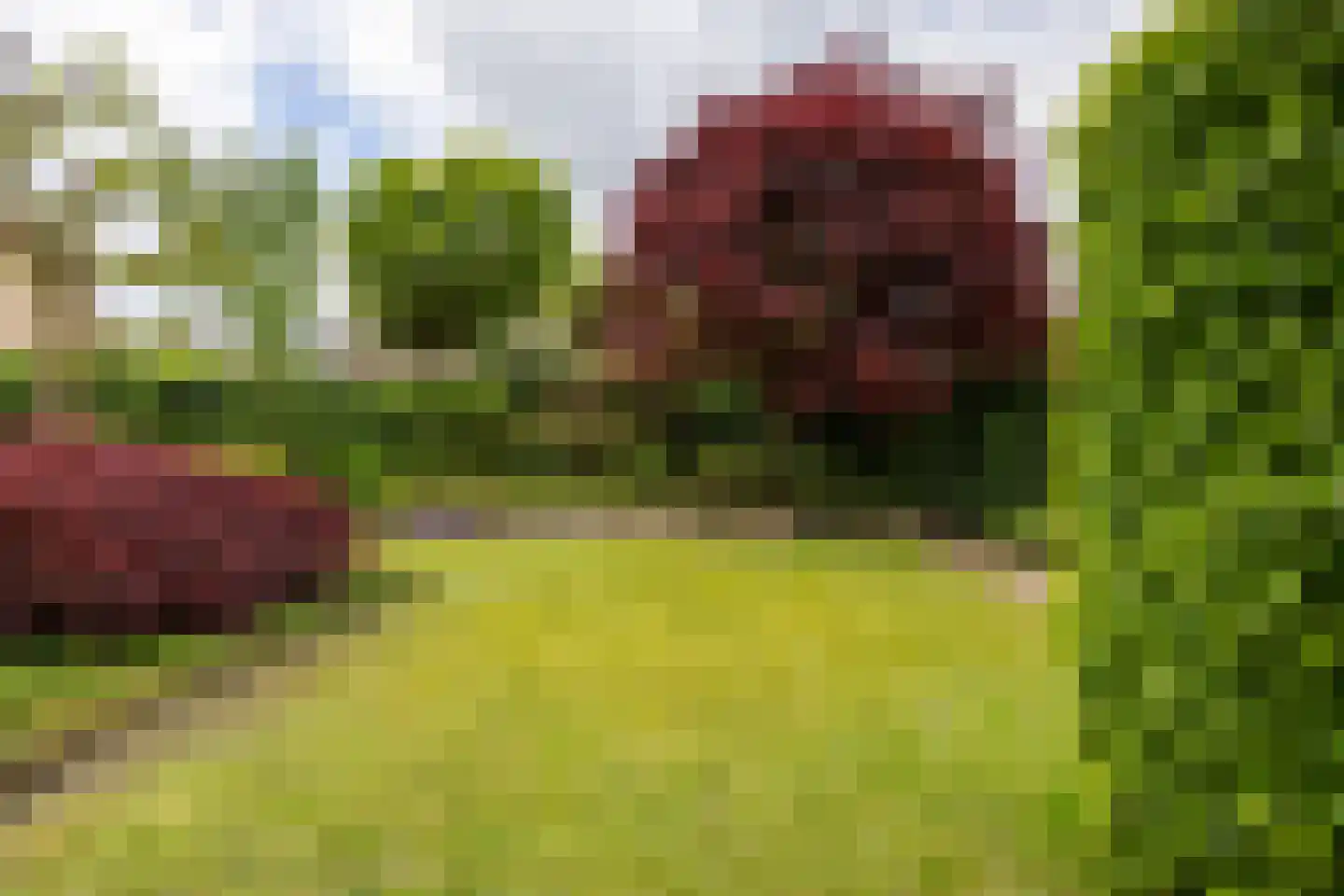 Gansvelden 27 Best thumbnail 45