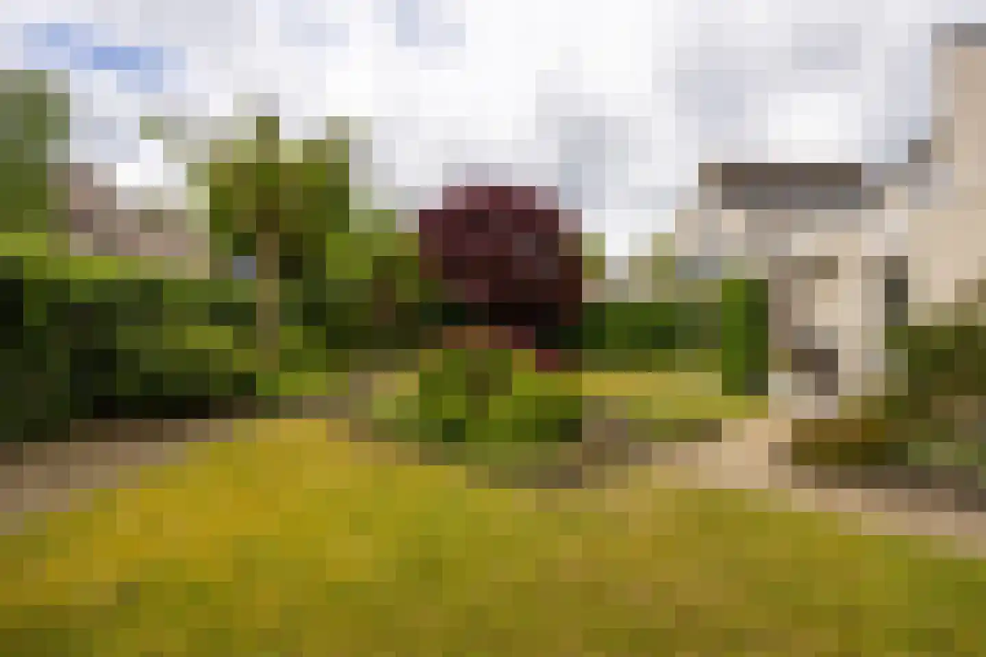 Gansvelden 27 Best thumbnail 46