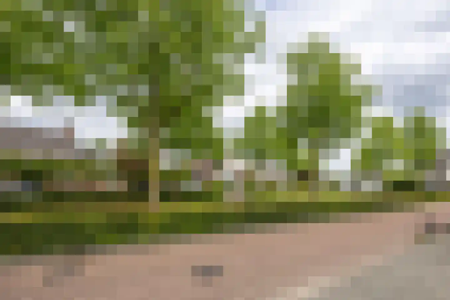 Gansvelden 27 Best thumbnail 49