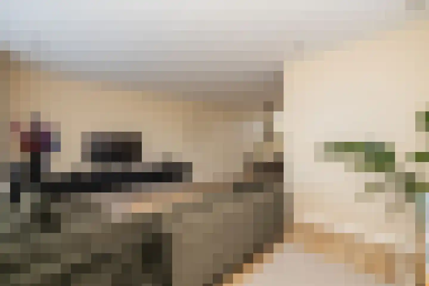 Gantel 18 A Honselersdijk thumbnail 14