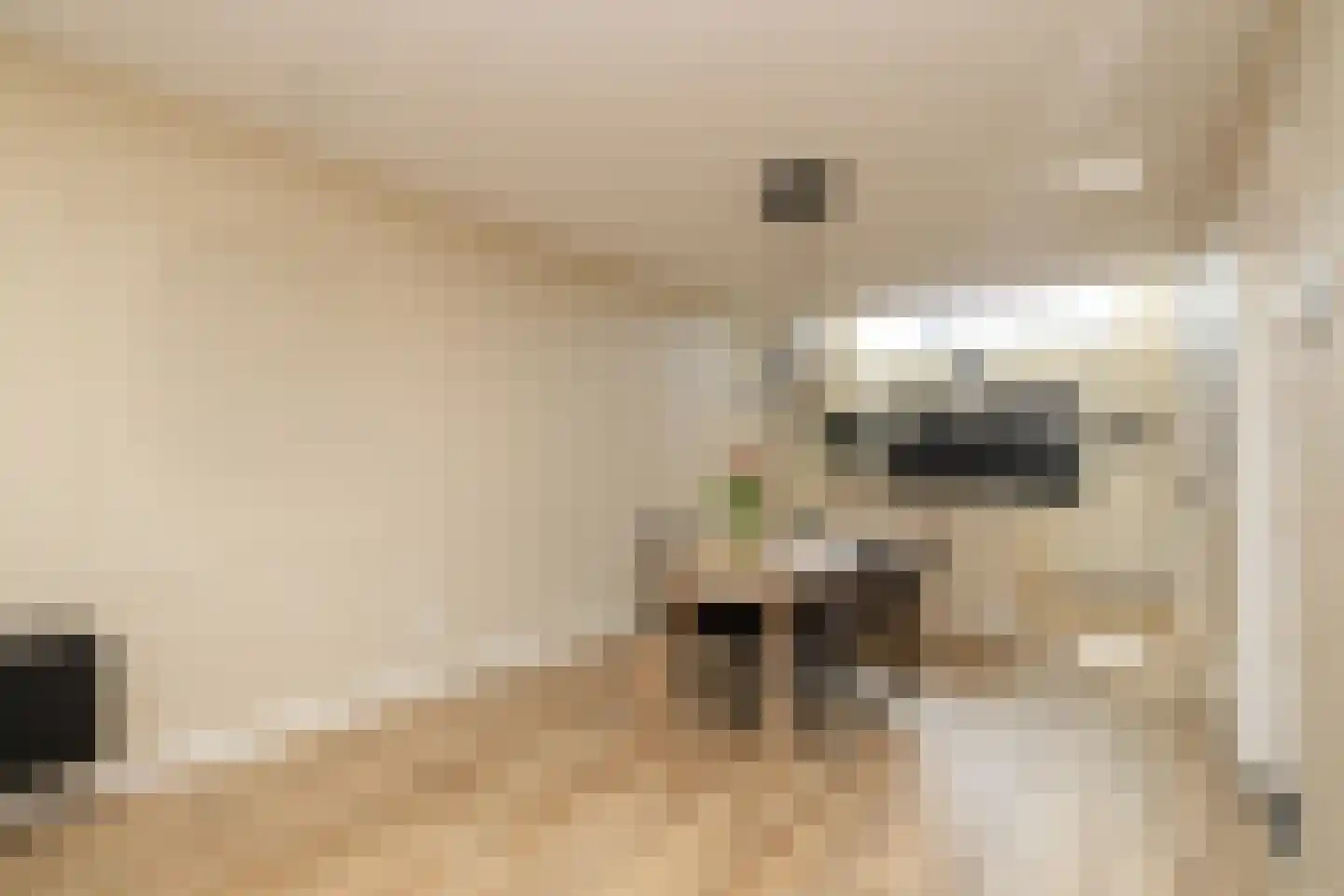 Gantel 18 A Honselersdijk thumbnail 15