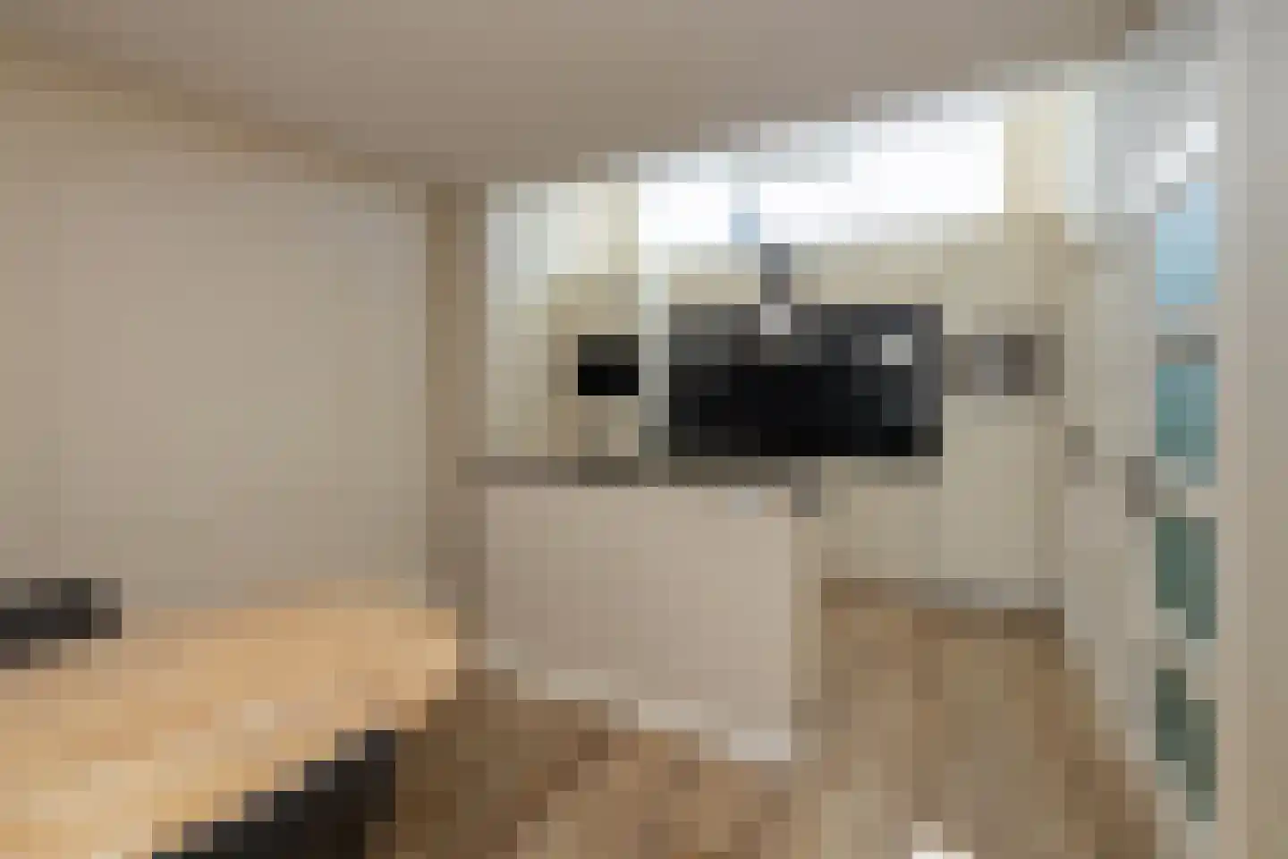 Gantel 18 A Honselersdijk thumbnail 17