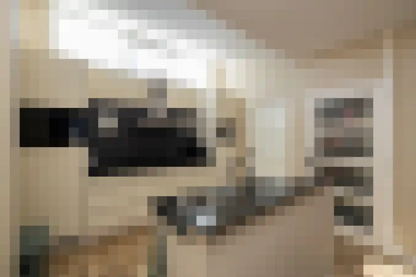 Gantel 18 A Honselersdijk thumbnail 18