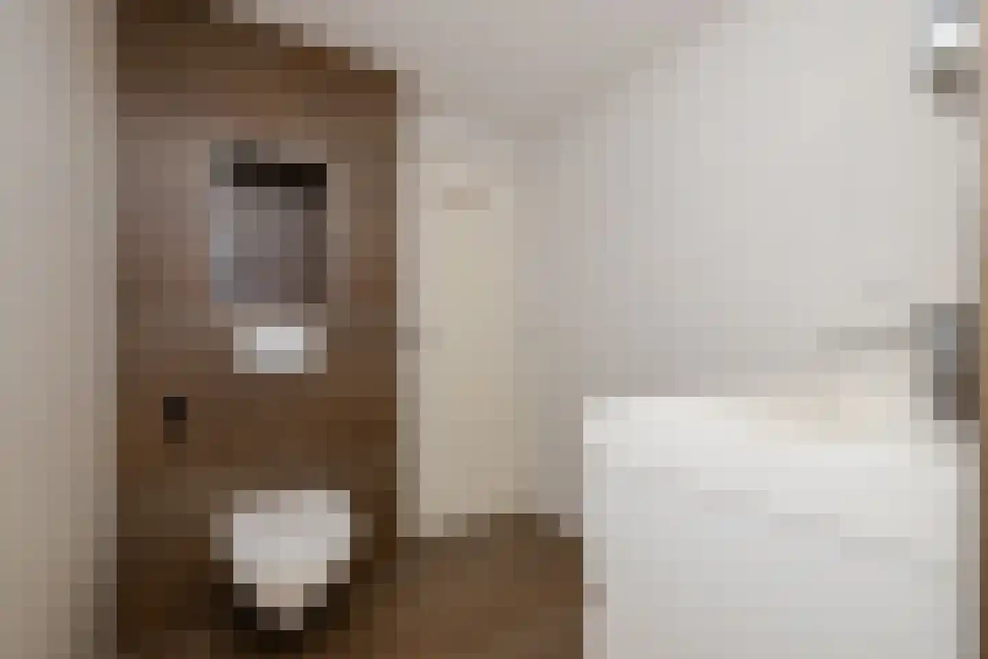 Gantel 18 A Honselersdijk thumbnail 34