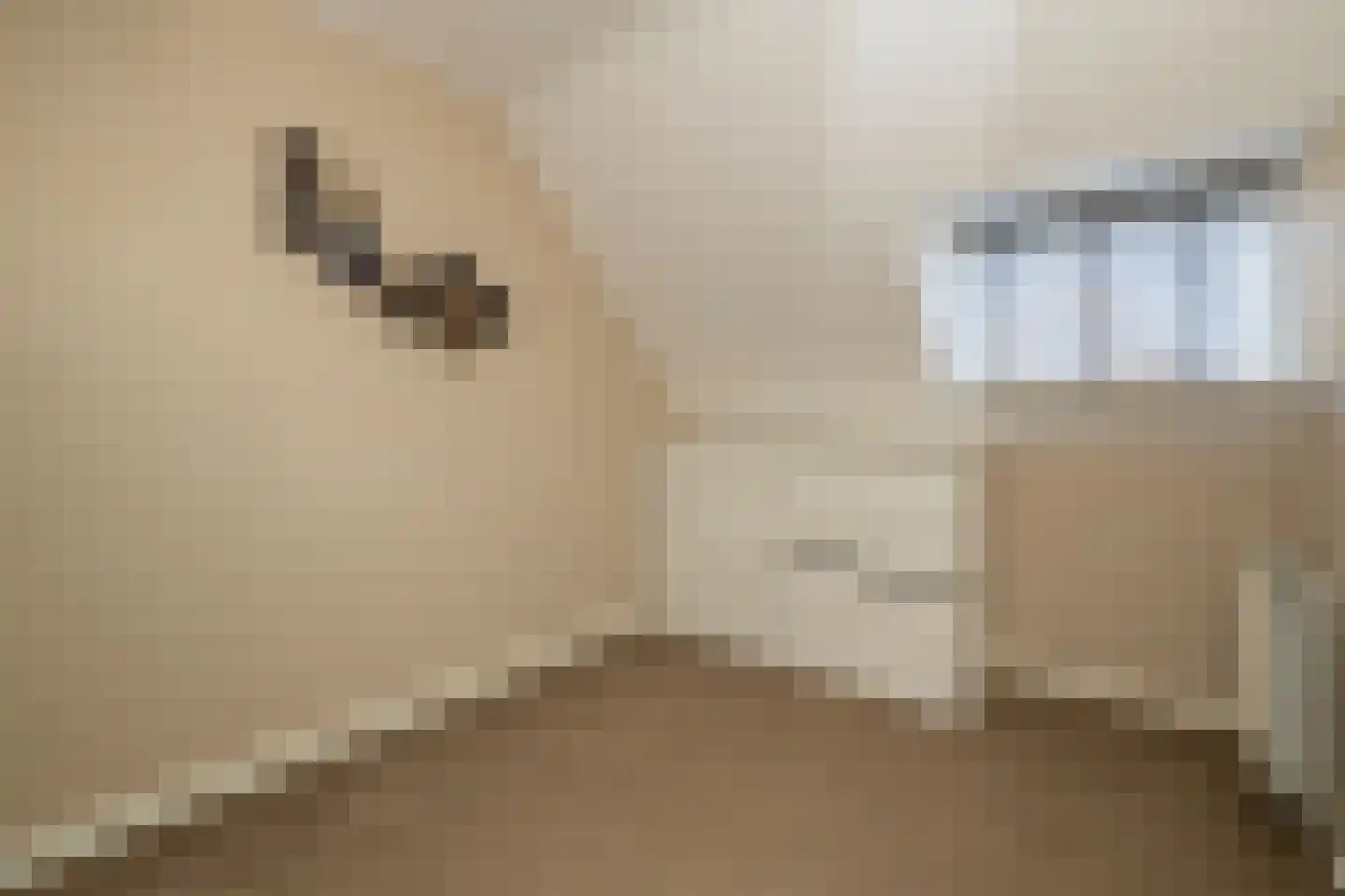 Gantel 18 A Honselersdijk thumbnail 37