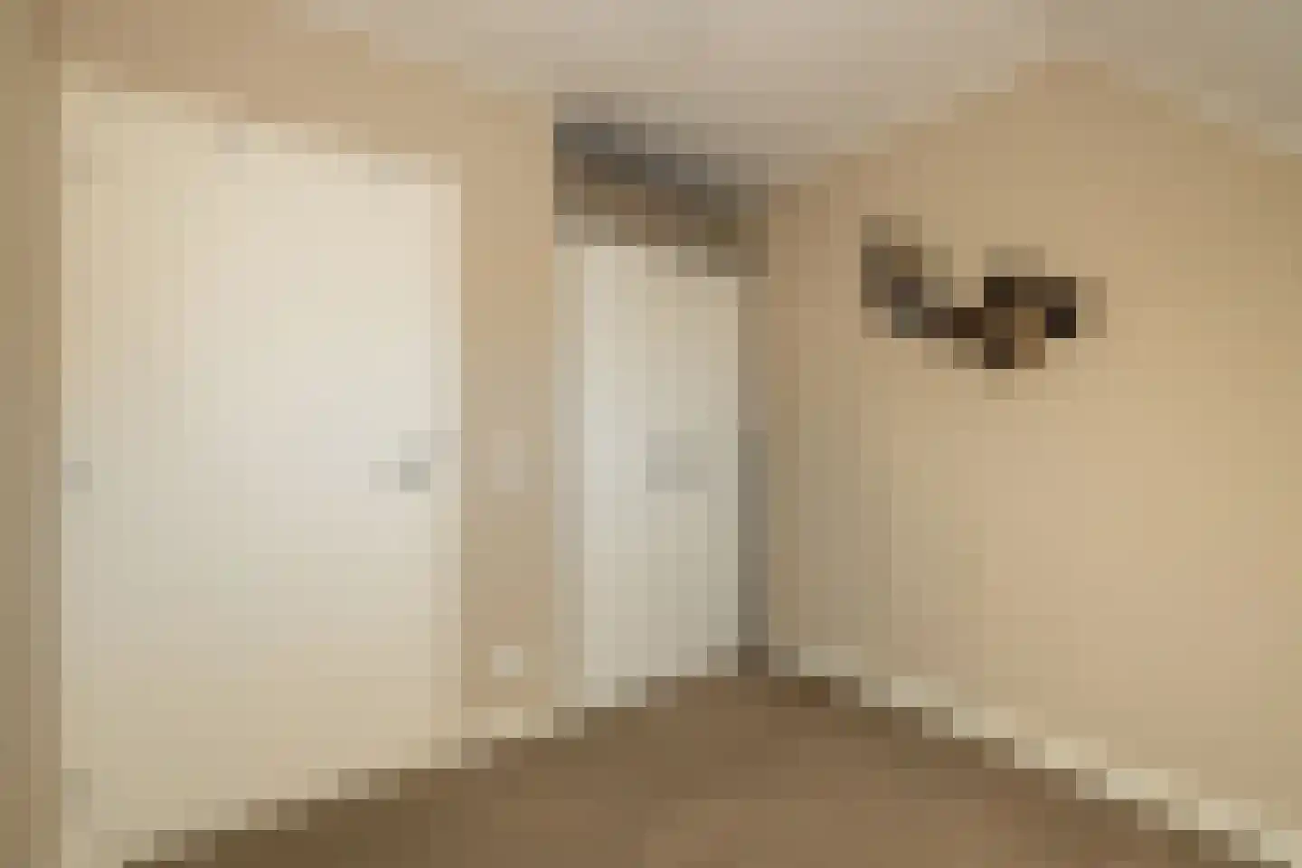 Gantel 18 A Honselersdijk thumbnail 38