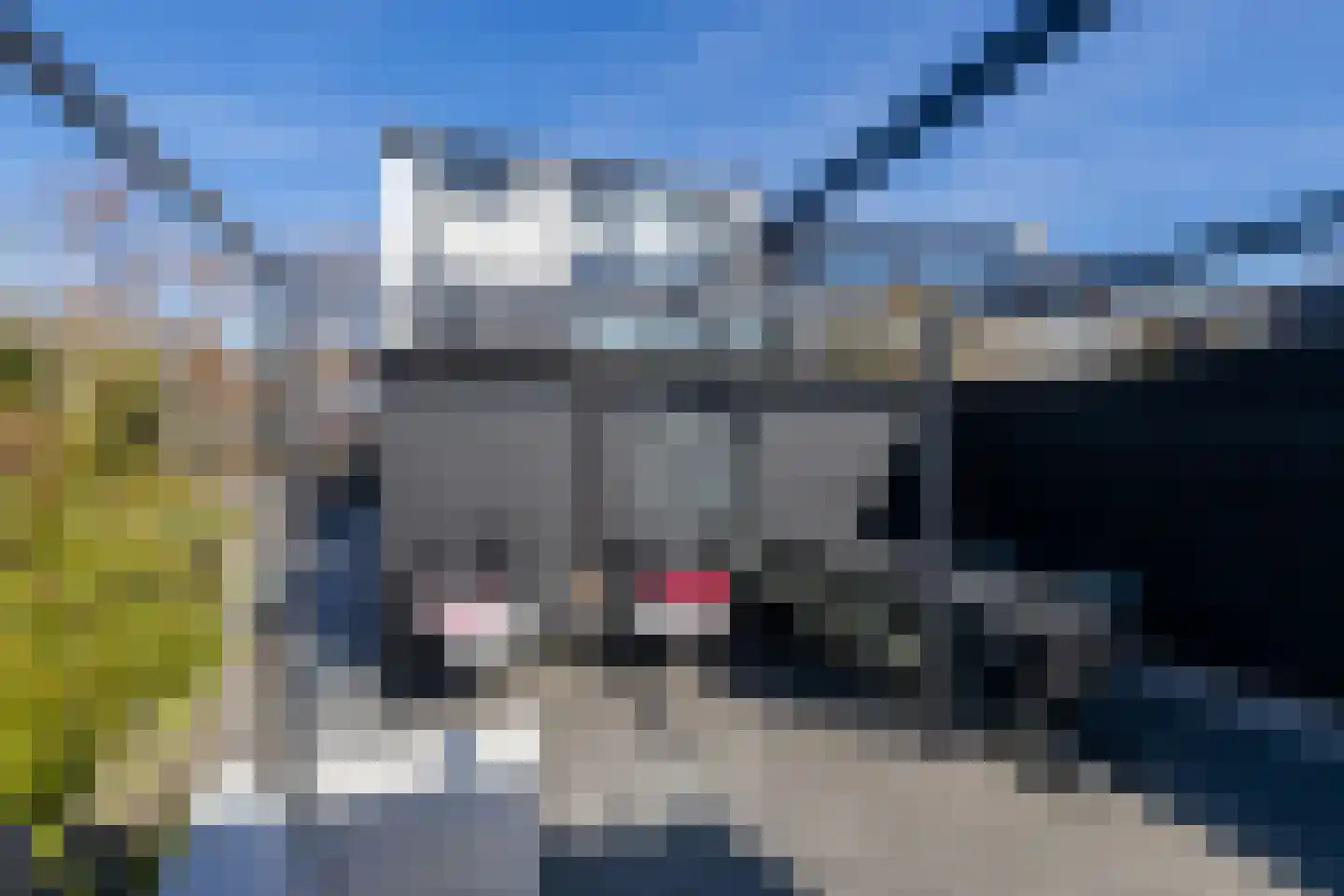 Gantel 18 A Honselersdijk thumbnail 47