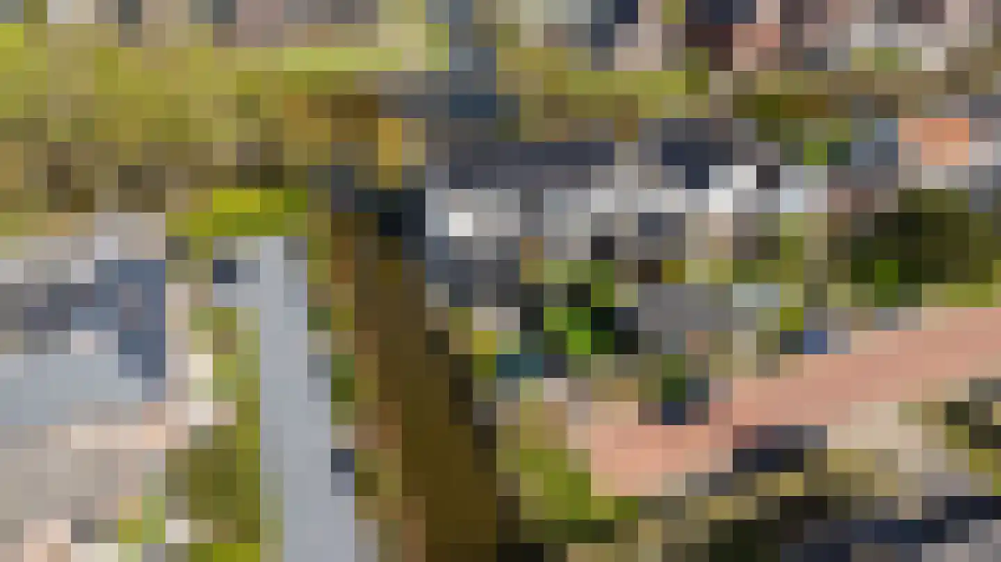 Gantel 18 A Honselersdijk thumbnail 53