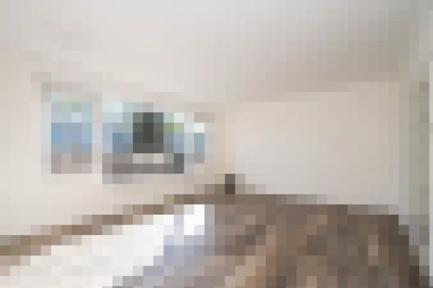 Gantel 5 Zwolle thumbnail 28