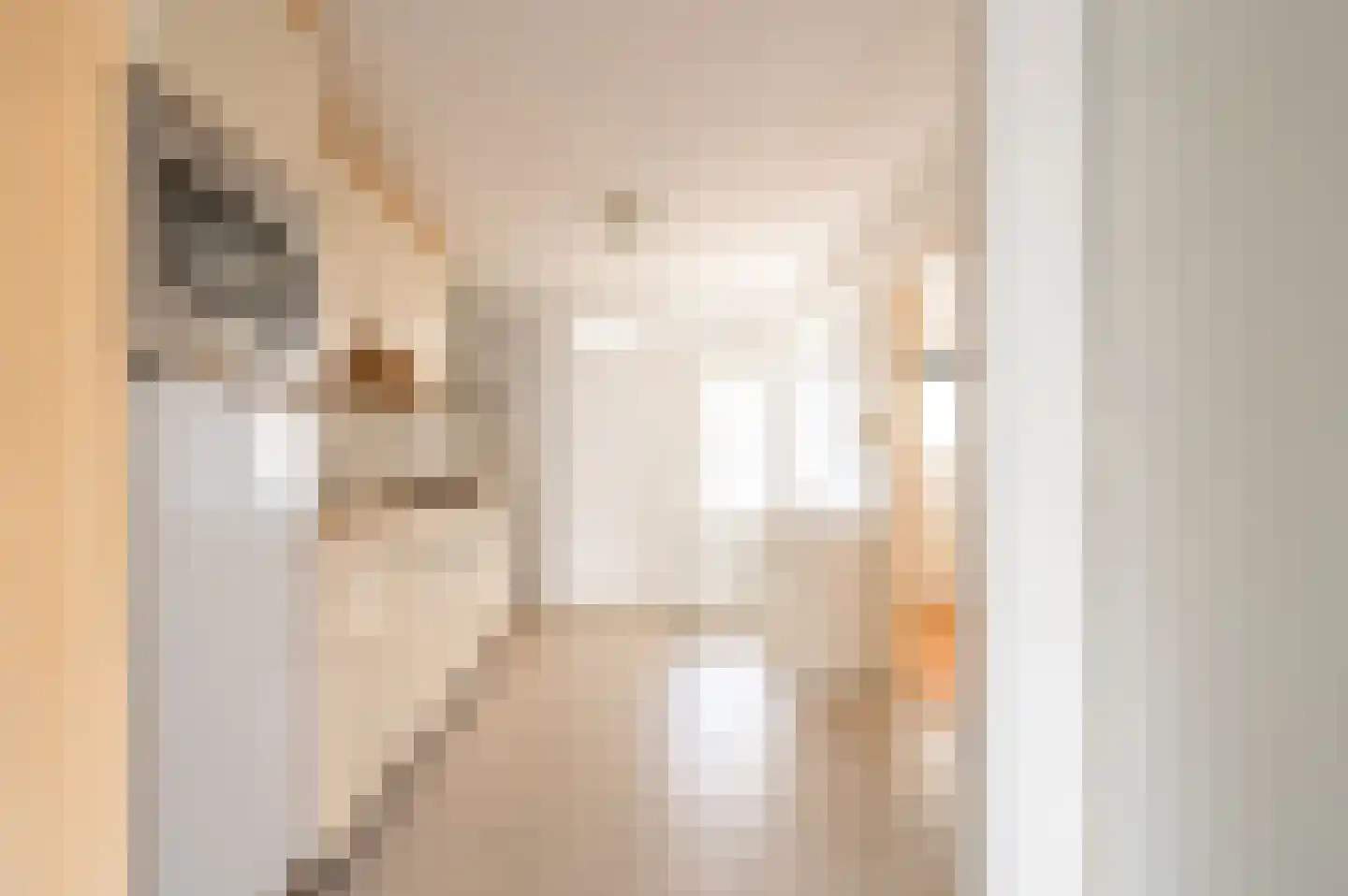 Gantel 5 Zwolle thumbnail 6
