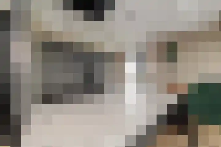 Gantellaan 12 B Monster thumbnail 11