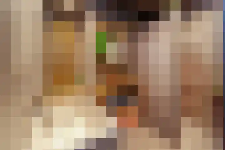 Gantellaan 12 B Monster thumbnail 20