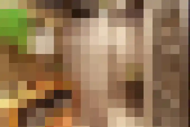 Gantellaan 12 B Monster thumbnail 21