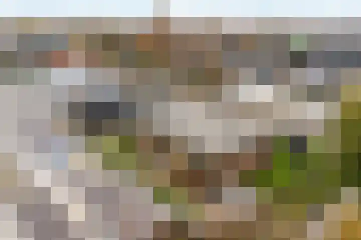 Gantellaan 12 B Monster thumbnail 34