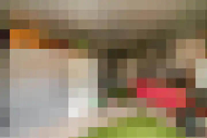 Gantellaan 12 B Monster thumbnail 35