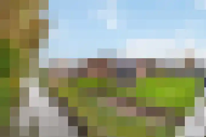 Gantellaan 12 B Monster thumbnail 39
