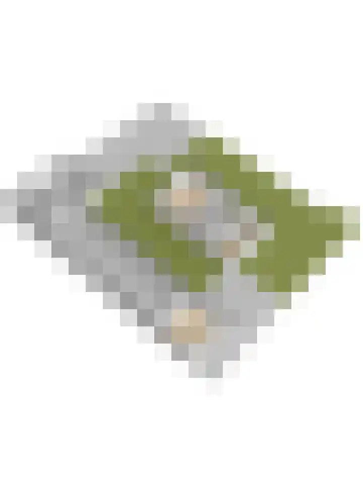 Gantellaan 12 B Monster thumbnail 43