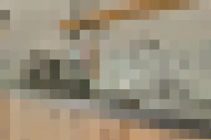 Gantellaan 13 Monster thumbnail 15
