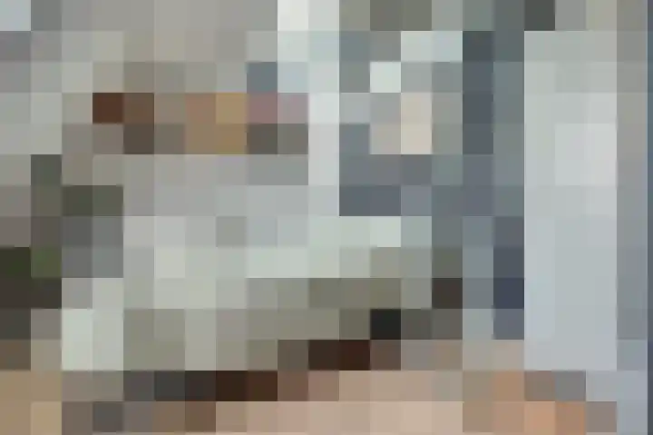 Gantellaan 13 Monster thumbnail 32