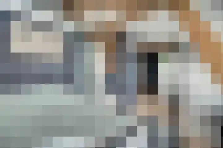 Gantellaan 13 Monster thumbnail 33