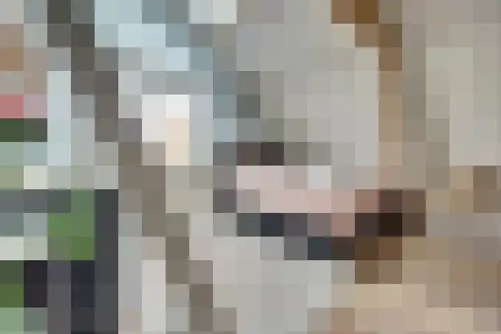 Gantellaan 13 Monster thumbnail 37