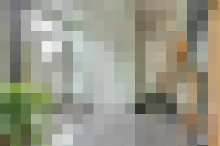 Gantellaan 13 Monster thumbnail 4