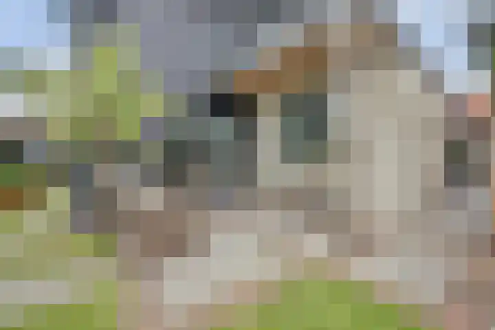 Gantellaan 13 Monster thumbnail 42