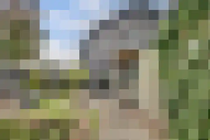 Gantellaan 13 Monster thumbnail 43